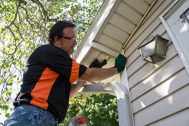 Best Hoarding Cleanup  in Plattsmouth, NE